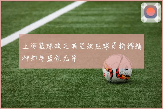 上海篮球缺乏明星效应球员拼搏精神却与蓝领无异